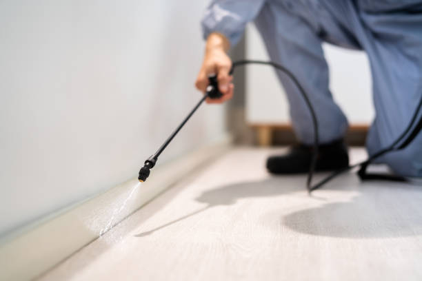 Licensed Bed Bug Control service in Darien Downtown, CT - Nex Pest Control