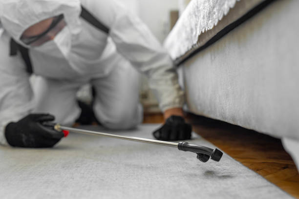 Professional Bed Bug Control technician working in Darien Downtown, CT