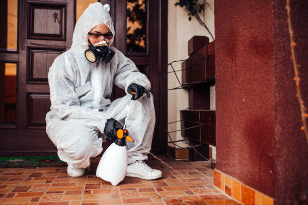 Reliable Bed Bug Control contractor in Darien Downtown, CT by Nex Pest Control