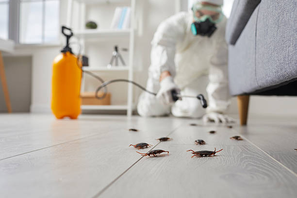 Trusted Emergency Pest Control service in Darien Downtown, CT - Nex Pest Control